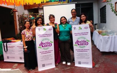 Promoventes Confirman que la Cndh Interpuso Acción de Inconstitucionalidad Contra Leyes que Restringen el Aborto en Chiapas