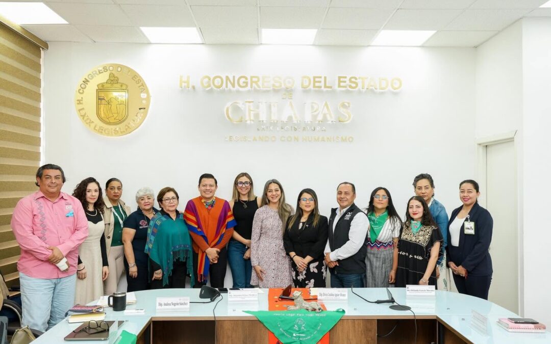 Participa Sociedad Civil en la Tercera Mesa Interinstitucional para Transformar las Prácticas Médicas de la Ile en Chiapas