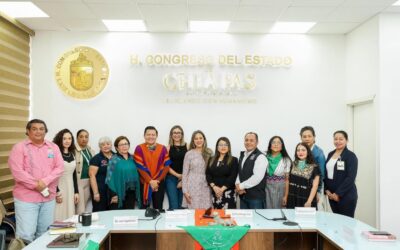 Participa Sociedad Civil en la Tercera Mesa Interinstitucional para Transformar las Prácticas Médicas de la Ile en Chiapas