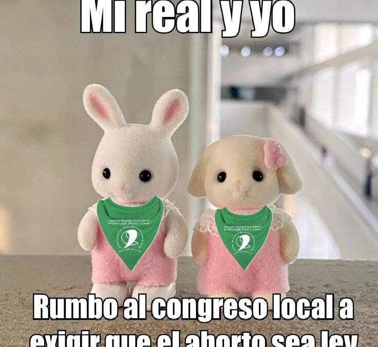 Avanza Reforma Constitucional en Chiapas: Congreso Local Abre la Puerta a la Despenalización del Aborto