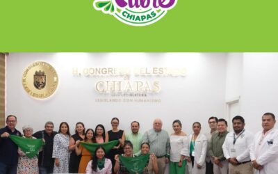 Avanza Diseño de Políticas Públicas en la Segunda Reunión de la Mesa Interinstitucional para el Acceso al Aborto en Chiapas