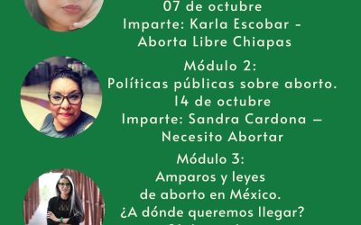 Programa de Formación Política para Acompañantes de Aborto