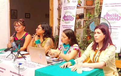 Acción de Inconstitucionalidad en contra del Congreso del Estado de Chiapas y el Gobernador Rutilio Escandón Cadenas