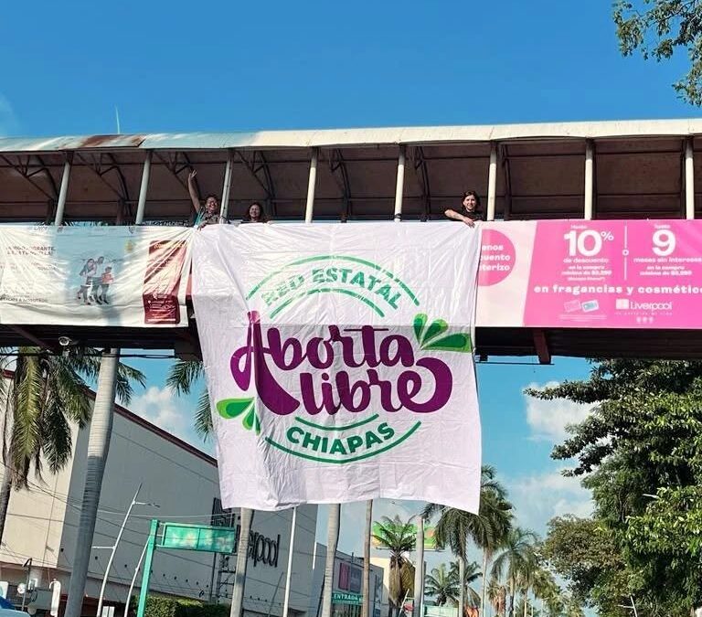 Impulsan alianza interinstitucional en Chiapas para garantizar el acceso a la salud sexual y reproductiva