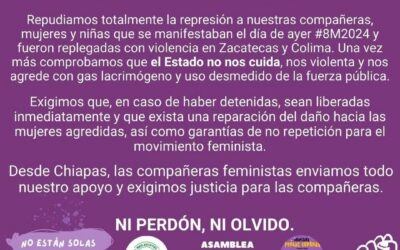 Desde Chiapas hasta Zacatecas ¡No a la criminalización de la protesta feminista!